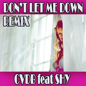 Don't let me down (Remix)