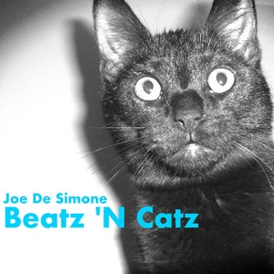 Beatz 'N Catz (Original Mix)