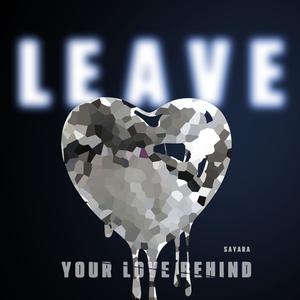 Leave Your Love Behind