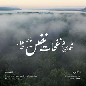 Andooh (Rework of M.R Shajarian)