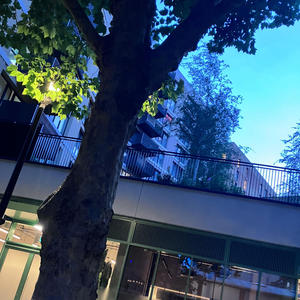 All black (feat. osdbleach) (Explicit)