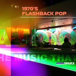 1970's Flashback Pop Volume 14