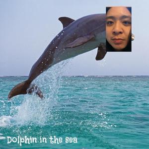 DOLPHIN IN THE SEA(feat. BURNTRIFFAGE) (Explicit)