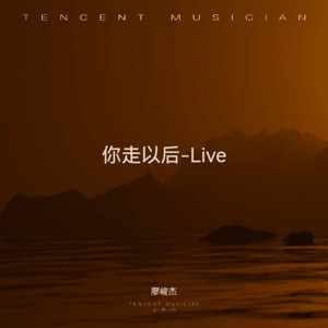 你走以后 (Live)