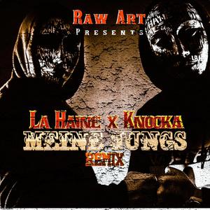 Meine Jungs (feat. La Haine) [Remix] [Explicit]