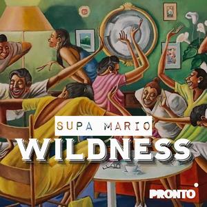 Wildness Instrumental