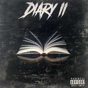 Diary II