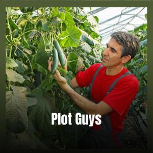 Plot Guys