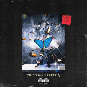 Butterfly Effect (Explicit)