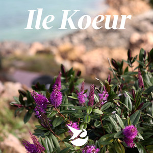 Ile Koeur