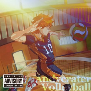 Volleyball