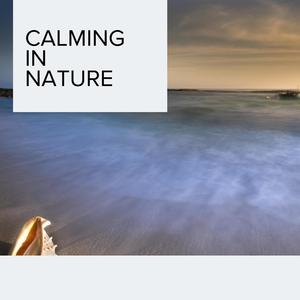 Peaceful Birds and Fire