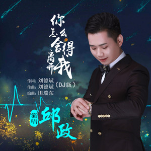 你怎么舍得离开我 (DJ版)
