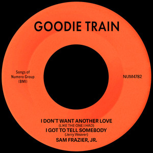 I Don't Want Another Love (Like The One I Had)