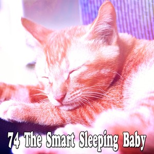 74 The Smart Sleeping Baby