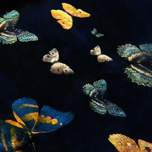 Automotivo Bibi Fogosa（可惜我两手空空inst.）