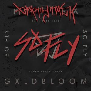 So Fly (VIP) (feat. GXLDBLOOM & PPAAXX)