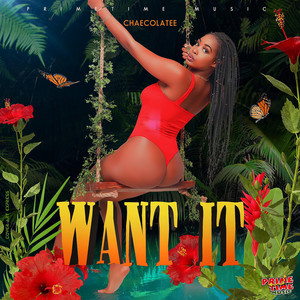 Want It (Explicit)