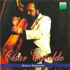Coloquio de Cuerdas