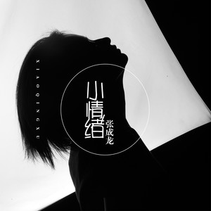 张成龙 - 小情绪