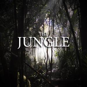 The Jungle