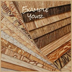 Example Your