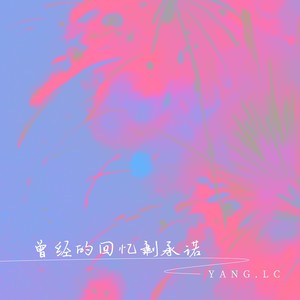 曾经的回忆剩承诺 (DJ九零版)