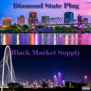 Diamond State Plug and Black Market Supply (Explicit)