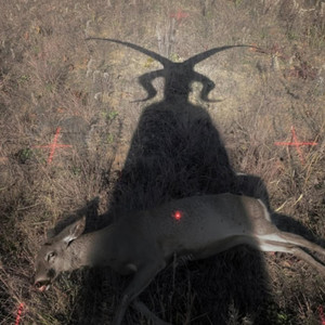 ****stars (Explicit)