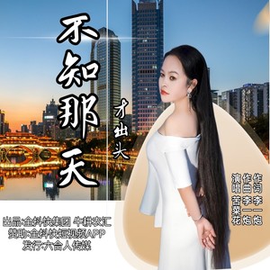 不知那天才出头-DJ女版