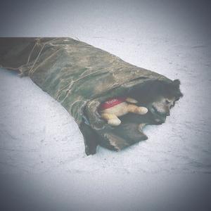 old yeller (Explicit)