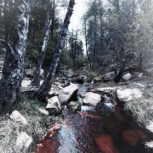 we could bleed it all (Explicit)