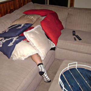 Shed Theory Archive - Backpack