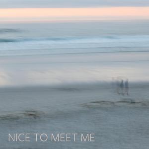 Nice to Meet Me