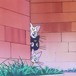 我想凌晨三点的时候站在长沙解放西的门口和我的homie陈默一起roll但是他说听了这个想让我做个伴奏他拿来写一下金钱pussy和那些臭烂虾丑人丑事但是我想了一下这样也比较OK于是在凌晨的我坐上了火车回常德拿了电脑就做了这个东西我想我应该有神经病