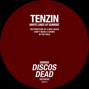 Destruction of A New Moon (Original Mix)