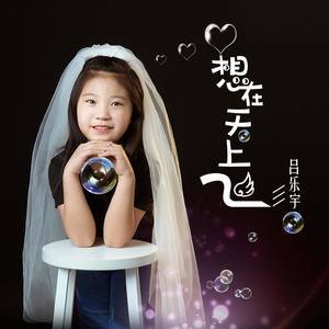 想在天上飞 伴奏