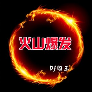 凤舞九天封面