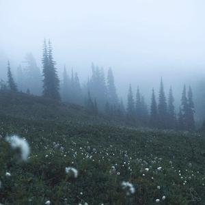 D:\Users\SC\Documents\Recordings\singing for my sprouts (6)