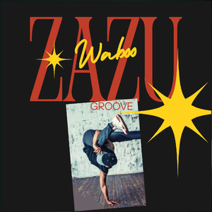 ZAZU groove