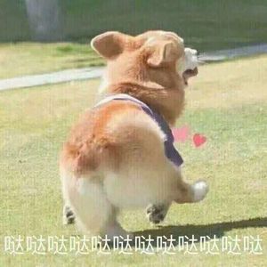 懂得放下，才能更好的前行