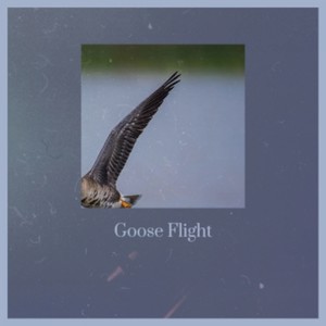 Bright Outlook With Violin