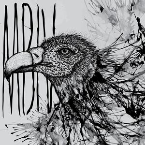 THE SELF SABOTAGE (Explicit)