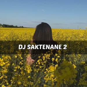 DJ SAKTENANE 2 - SAYANG OJO WEDI AKU NGILANG
