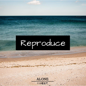 Reproduce (Original Mix)