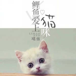 鲤鱼爱上猫咪