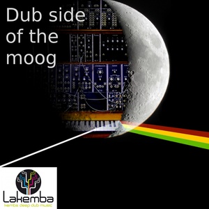 Dub Side of The Moog