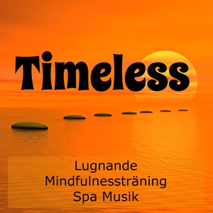 Timeless - Lugnande Mindfulnessträning Spa Musik för Andlig Healing Chakra Rensning Minska Ångest med Lugn Sömncykel Instrumental Ljud