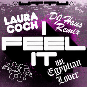 I Feel It (DJ Haus Remix)