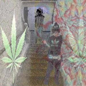 hesonthehighway (feat. bug.z0) (Explicit)